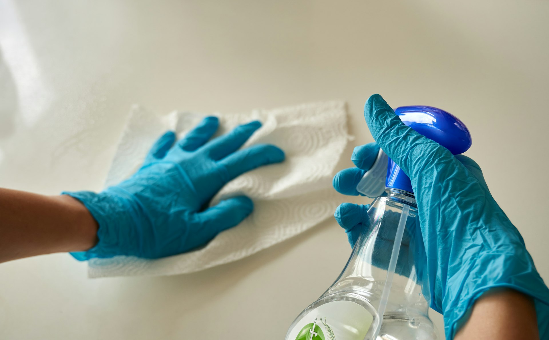 A professional cleaner working with care and attention